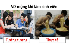 Ảo tưởng thời học sinh về đại học - đời không như mơ 